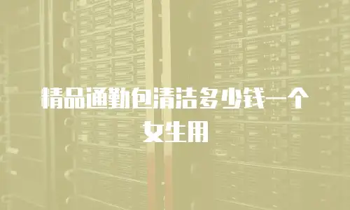 精品通勤包清洁多少钱一个女生用