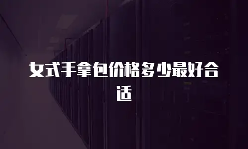 女式手拿包价格多少最好合适