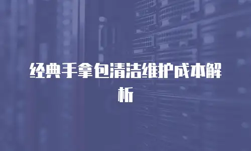 经典手拿包清洁维护成本解析