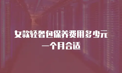 女款轻奢包保养费用多少元一个月合适