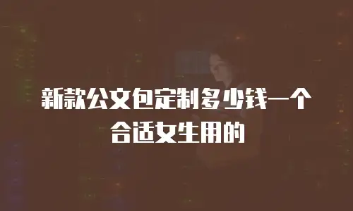 新款公文包定制多少钱一个合适女生用的