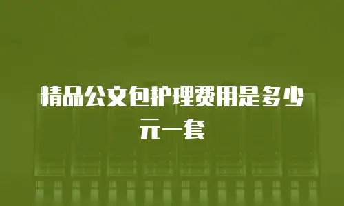 精品公文包护理费用是多少元一套