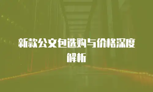 新款公文包选购与价格深度解析