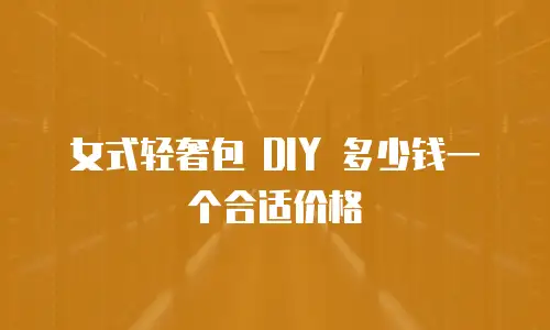 女式轻奢包 DIY 多少钱一个合适价格