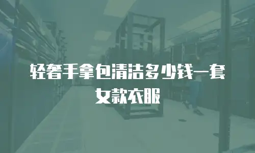 轻奢手拿包清洁多少钱一套女款衣服