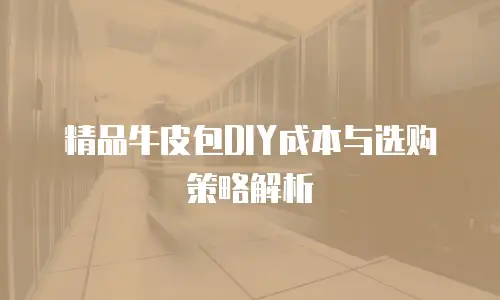 精品牛皮包DIY成本与选购策略解析