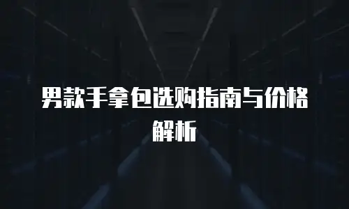 男款手拿包选购指南与价格解析