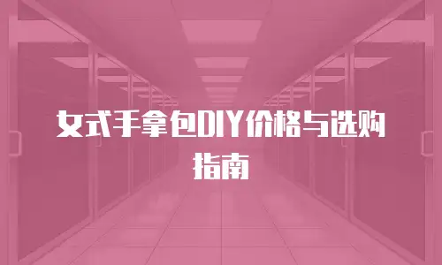 女式手拿包DIY价格与选购指南