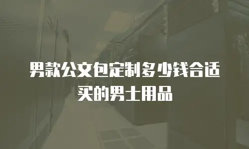 男款公文包定制多少钱合适买的男士用品