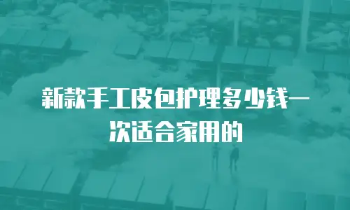 新款手工皮包护理多少钱一次适合家用的
