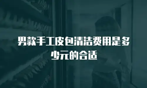 男款手工皮包清洁费用是多少元的合适