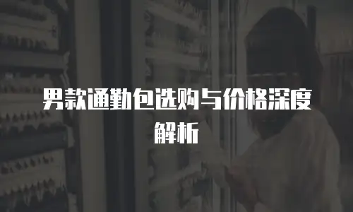 男款通勤包选购与价格深度解析