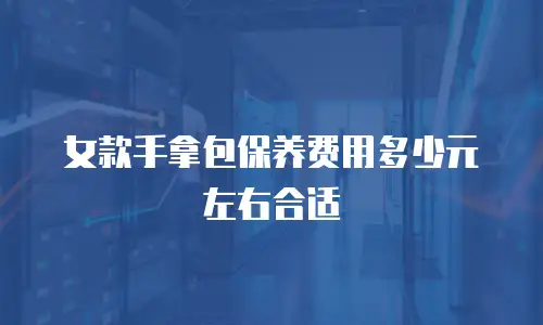 女款手拿包保养费用多少元左右合适