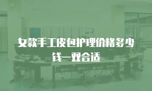 女款手工皮包护理价格多少钱一双合适