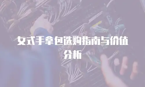 女式手拿包选购指南与价值分析