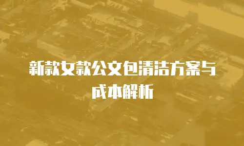新款女款公文包清洁方案与成本解析