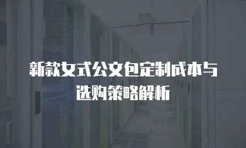新款女式公文包定制成本与选购策略解析