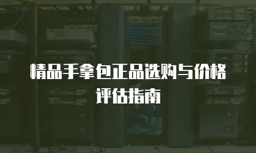 精品手拿包正品选购与价格评估指南