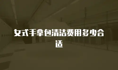 女式手拿包清洁费用多少合适