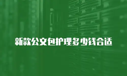 新款公文包护理多少钱合适