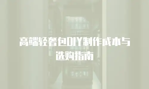高端轻奢包DIY制作成本与选购指南