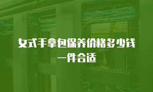 女式手拿包保养价格多少钱一件合适