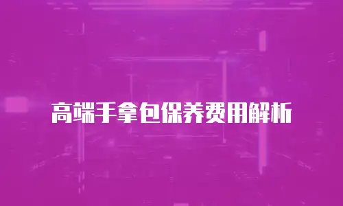 高端手拿包保养费用解析