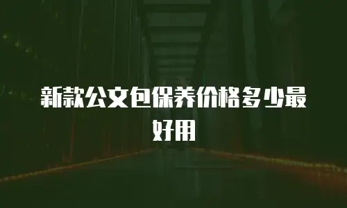 新款公文包保养价格多少最好用