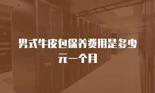 男式牛皮包保养费用是多少元一个月