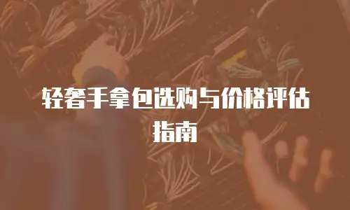轻奢手拿包选购与价格评估指南