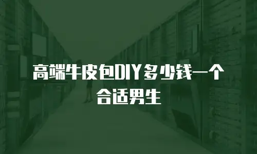 高端牛皮包DIY多少钱一个合适男生