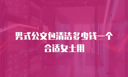 男式公文包清洁多少钱一个合适女士用