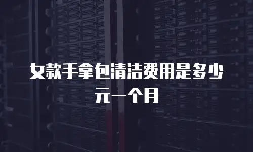 女款手拿包清洁费用是多少元一个月