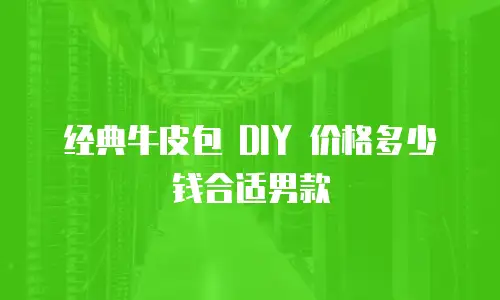 经典牛皮包 DIY 价格多少钱合适男款