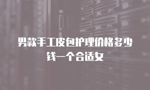 男款手工皮包护理价格多少钱一个合适女
