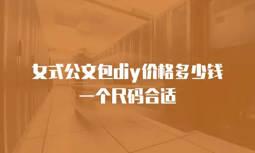 女式公文包diy价格多少钱一个尺码合适