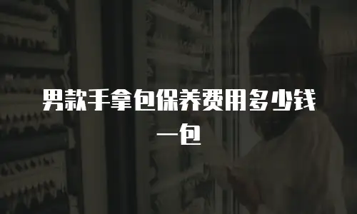 男款手拿包保养费用多少钱一包