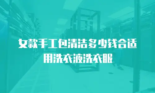 女款手工包清洁多少钱合适用洗衣液洗衣服