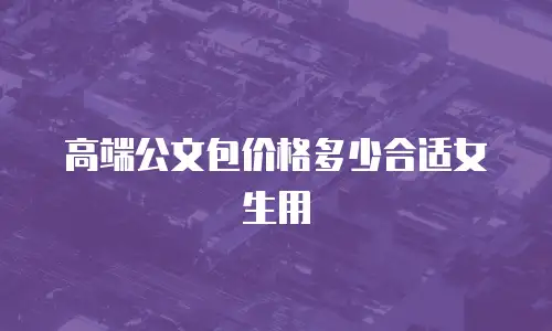 高端公文包价格多少合适女生用