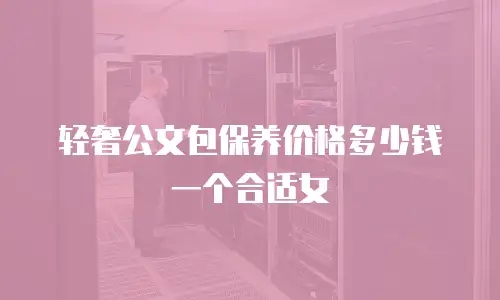 轻奢公文包保养价格多少钱一个合适女