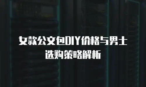 女款公文包DIY价格与男士选购策略解析