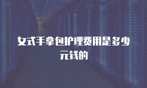 女式手拿包护理费用是多少元钱的