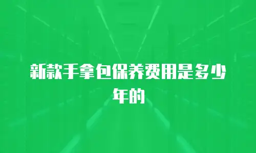 新款手拿包保养费用是多少年的