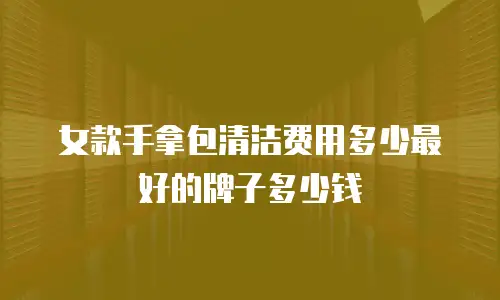 女款手拿包清洁费用多少最好的牌子多少钱
