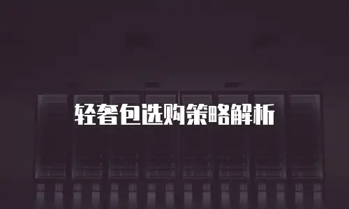 轻奢包选购策略解析