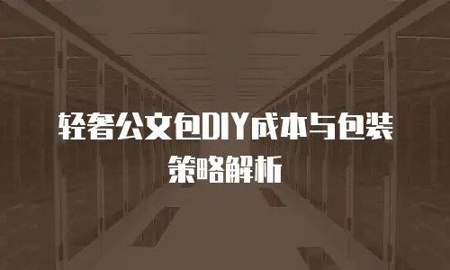 轻奢公文包DIY成本与包装策略解析