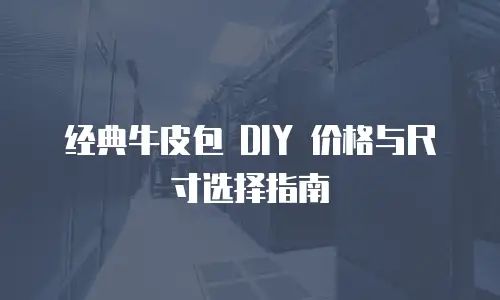 经典牛皮包 DIY 价格与尺寸选择指南