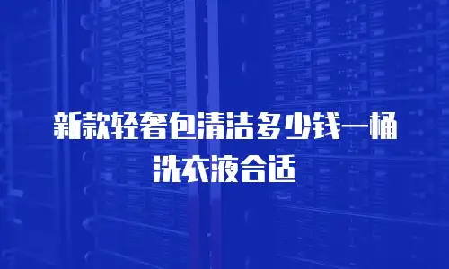 新款轻奢包清洁多少钱一桶洗衣液合适