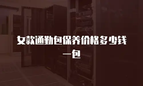 女款通勤包保养价格多少钱一包