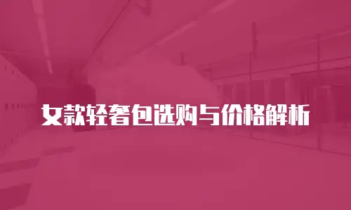 女款轻奢包选购与价格解析